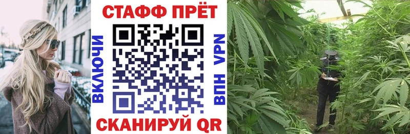 Где можно купить наркотики Губаха ГАШ  COCAIN  Амфетамин  Alpha-PVP  Конопля  Меф 