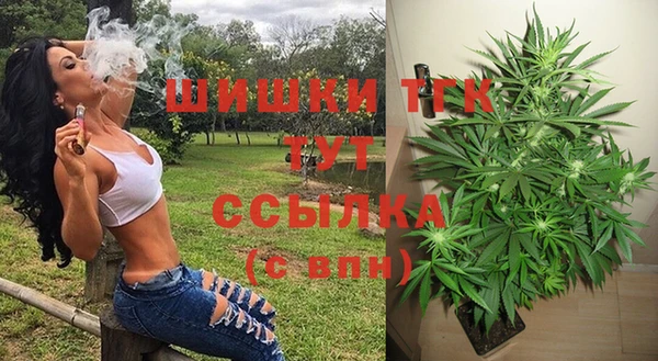 мет Арсеньев
