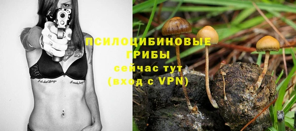 мет Арсеньев