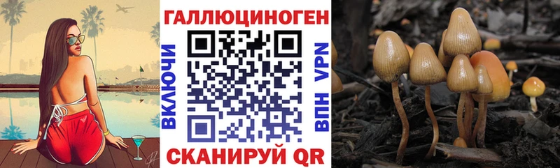 Псилоцибиновые грибы MAGIC MUSHROOMS Губаха